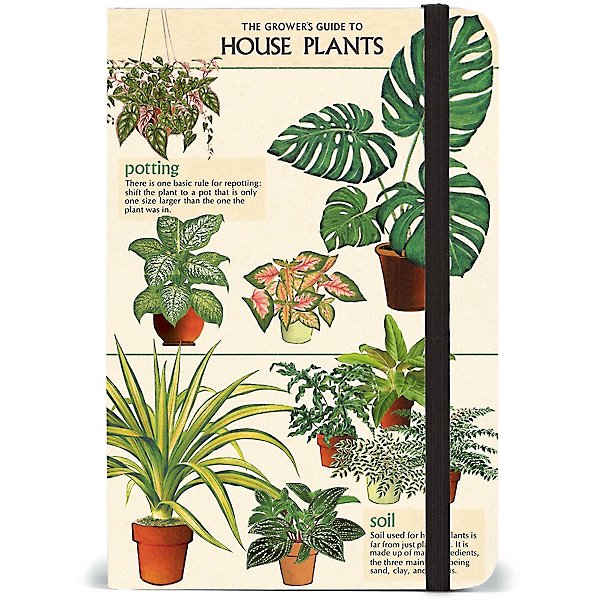 Libreta SM House of Plants