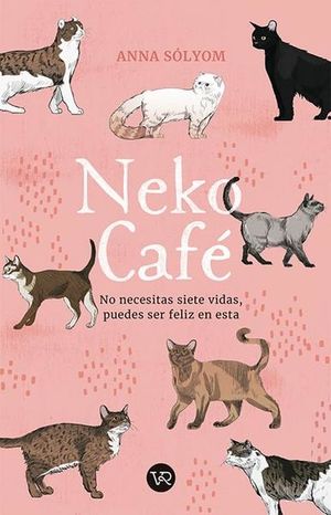 Neko Cafe