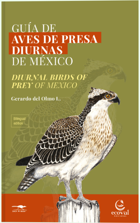 Guía de aves de presa diurnas de México