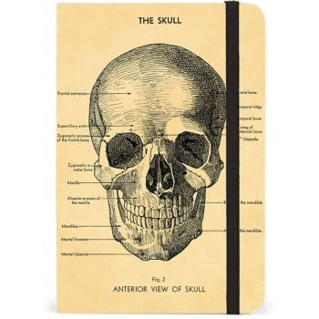 [230710335] Libreta SM Skull
