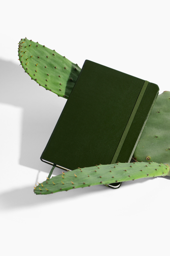 [196852866700] VITAL Green Cactus Leather Lined Journal