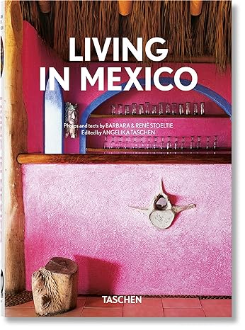 [Tasch8461] Living in Mexico