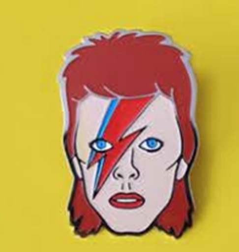 [BOWIE PIN .TWIN PINS] Bowie Pin